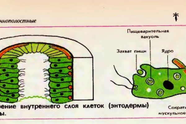 Украли аккаунт на кракене даркнет