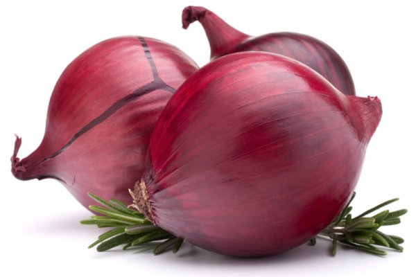 Omg магазин tor